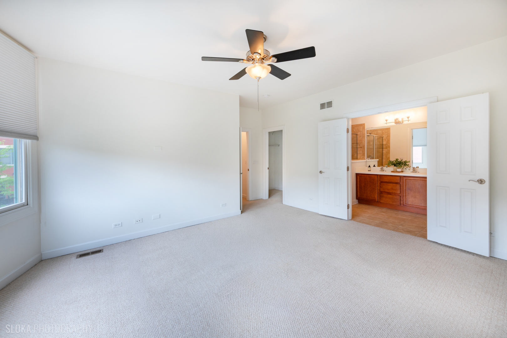 147 River Walk Court, Elgin, IL 60120