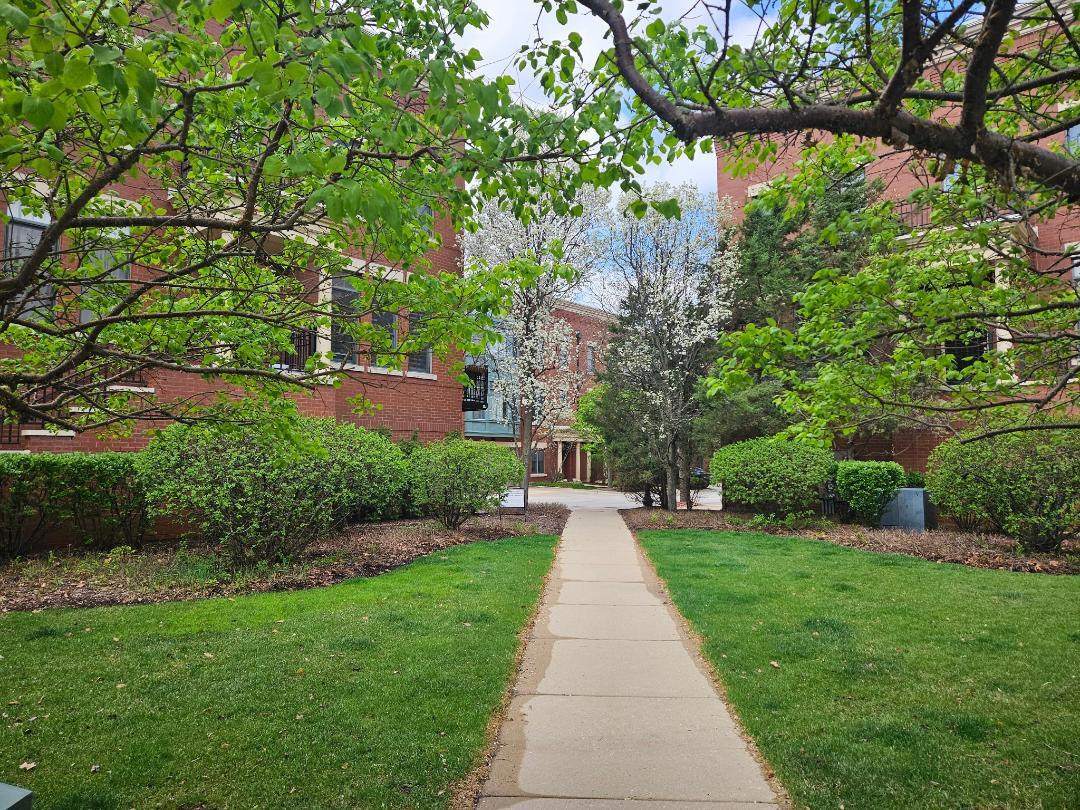 147 River Walk Court, Elgin, IL 60120