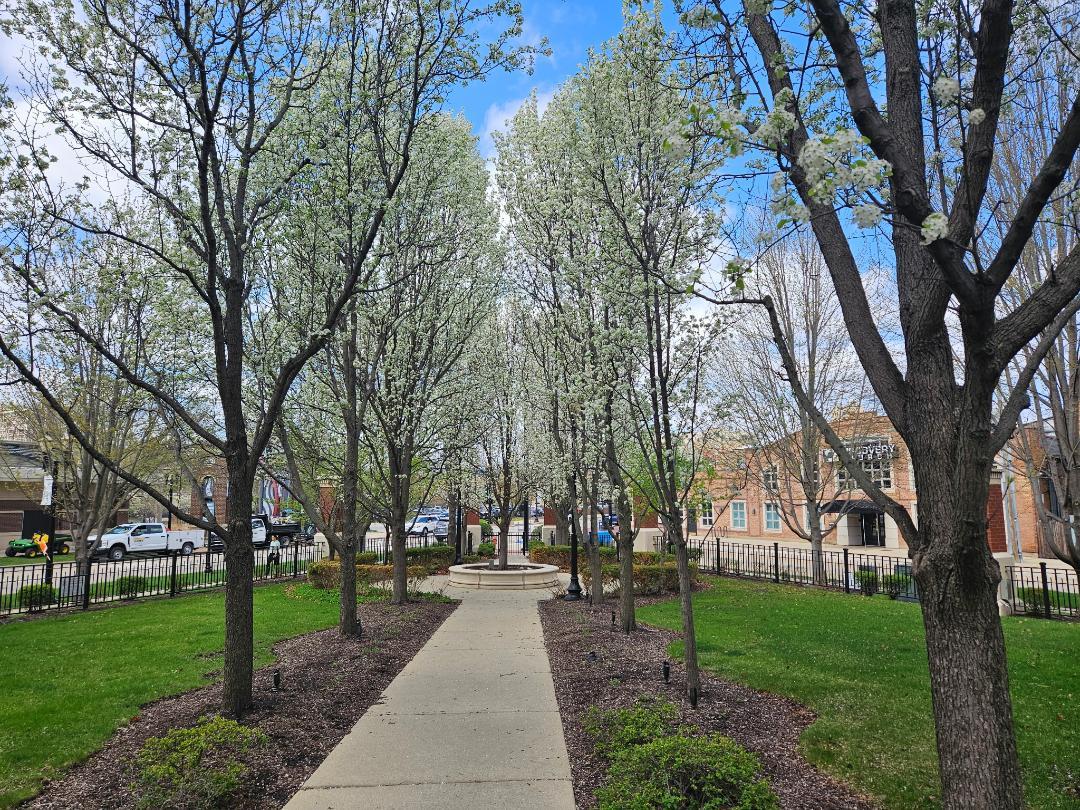 147 River Walk Court, Elgin, IL 60120