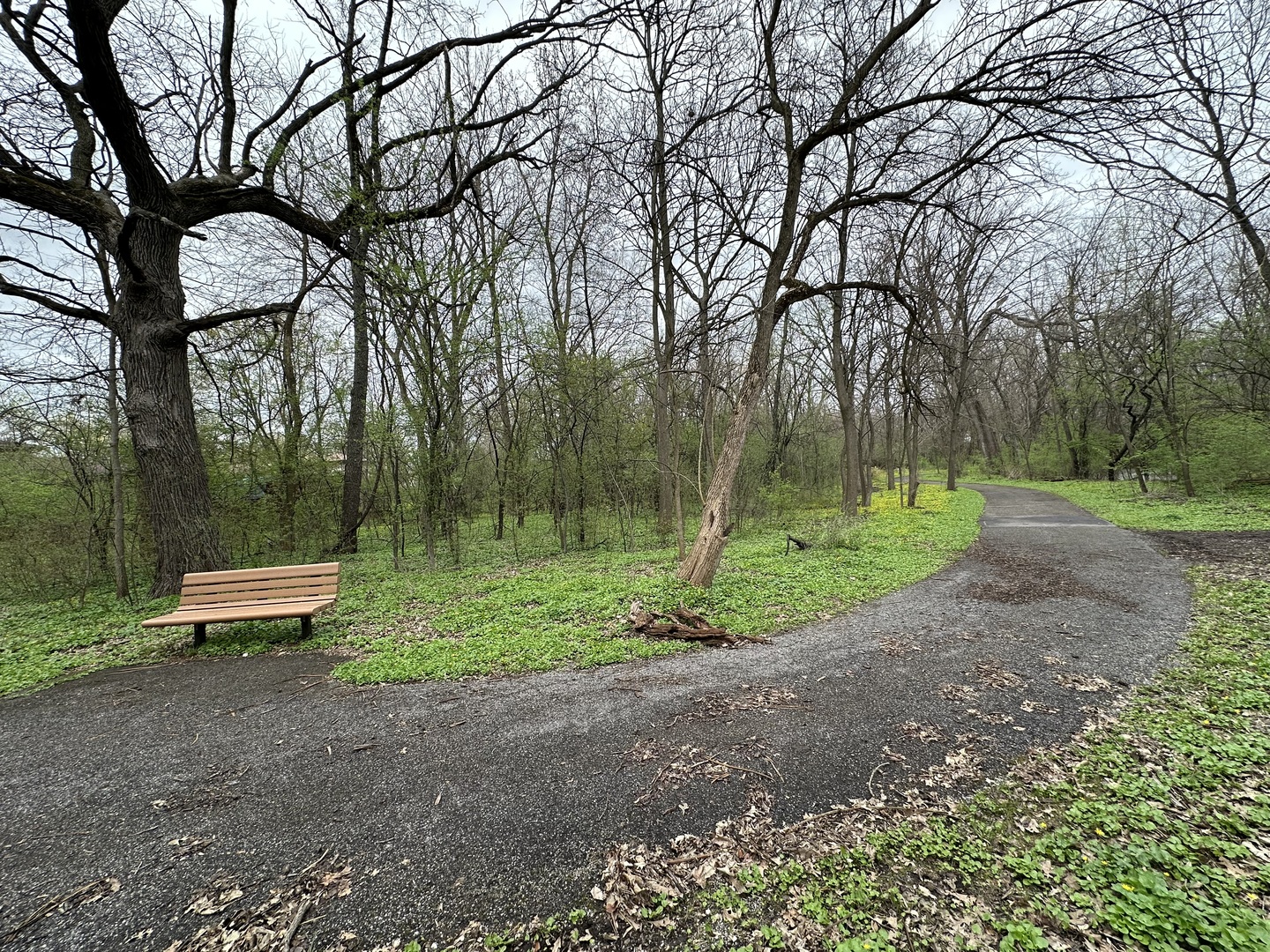 19213 Center Avenue, Homewood, IL 60430