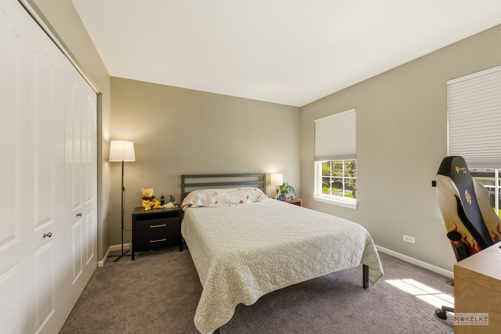 4355 Schofield Drive, Oswego, IL 60543