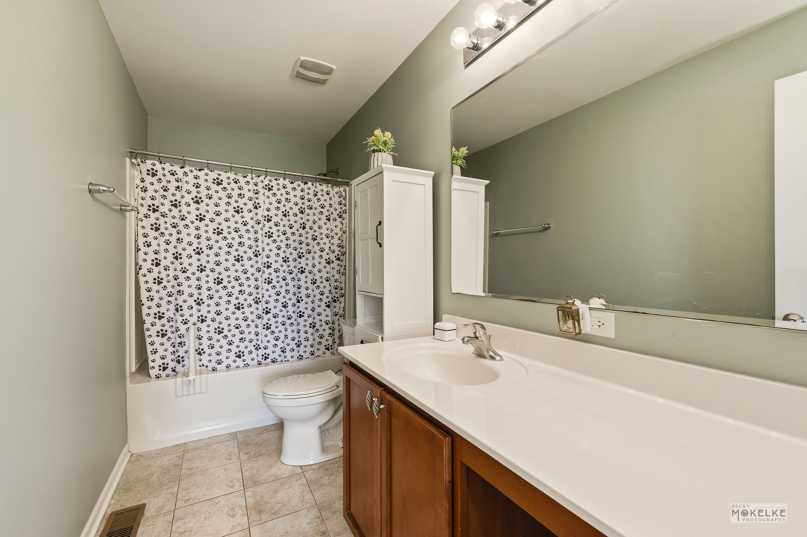 4355 Schofield Drive, Oswego, IL 60543