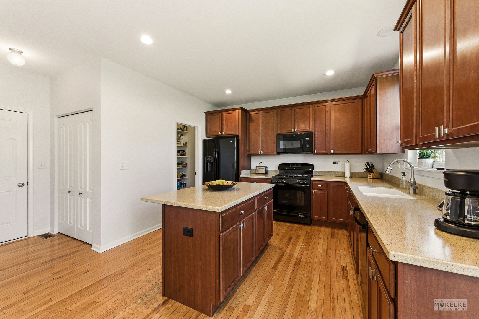 4355 Schofield Drive, Oswego, IL 60543