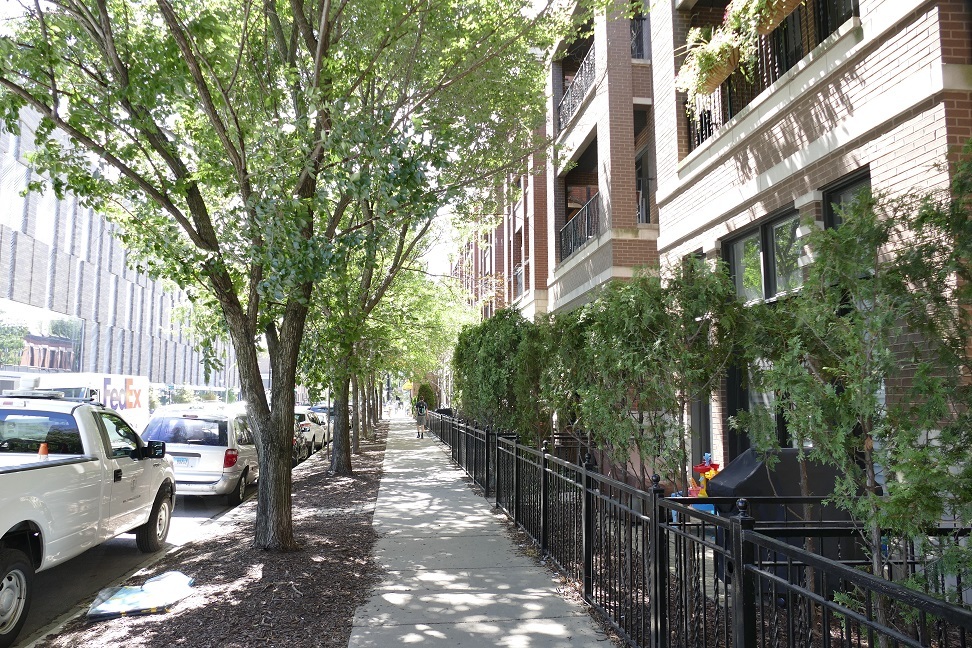 3024 N Sheffield Avenue #3S, Chicago, IL 60657