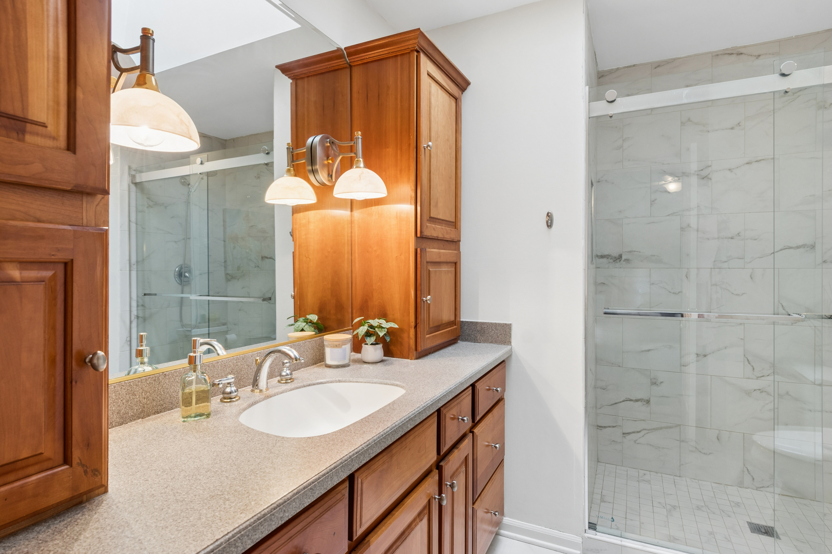 1204 Hobson Oaks Court #1204, Naperville, IL 60540