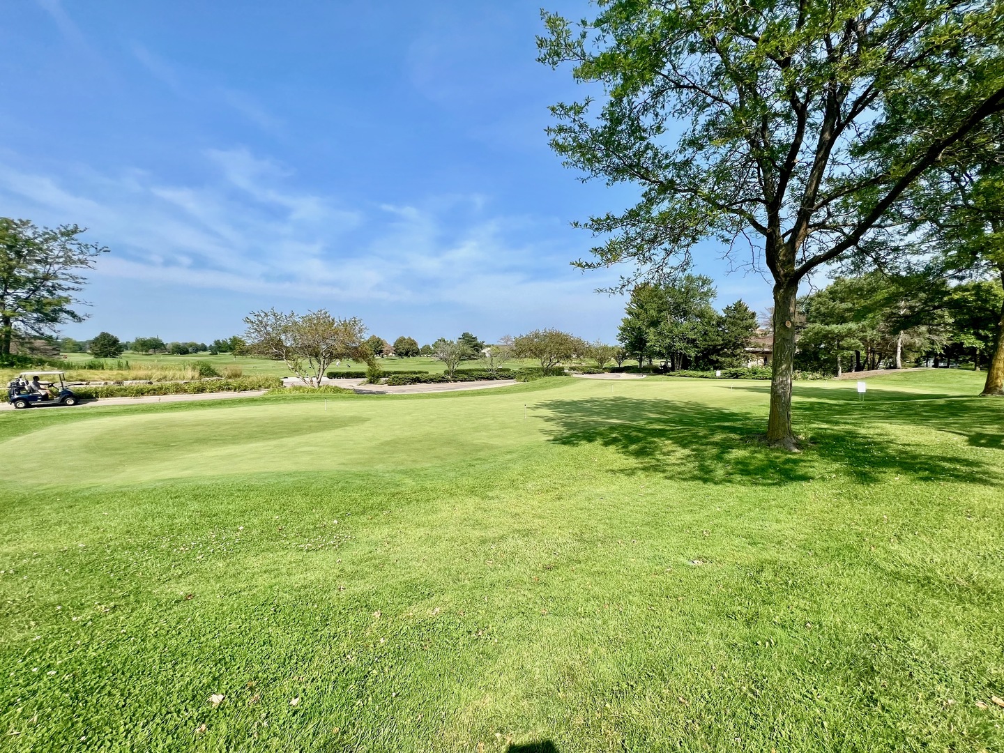 14013 Francesca Cove, Huntley, IL 60142