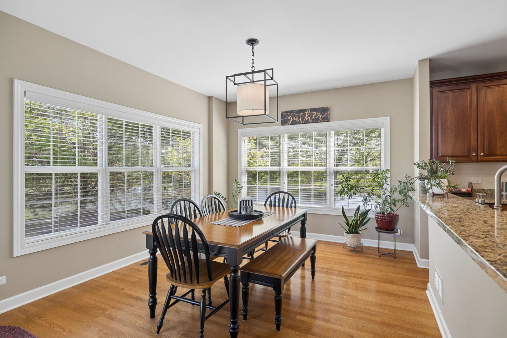 26404 W Red Apple Road, Plainfield, IL 60585