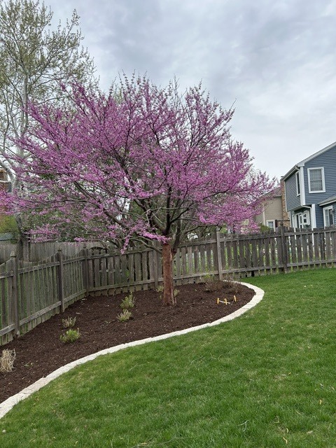 1846 Baltimore Drive, Elk Grove Village, IL 60007