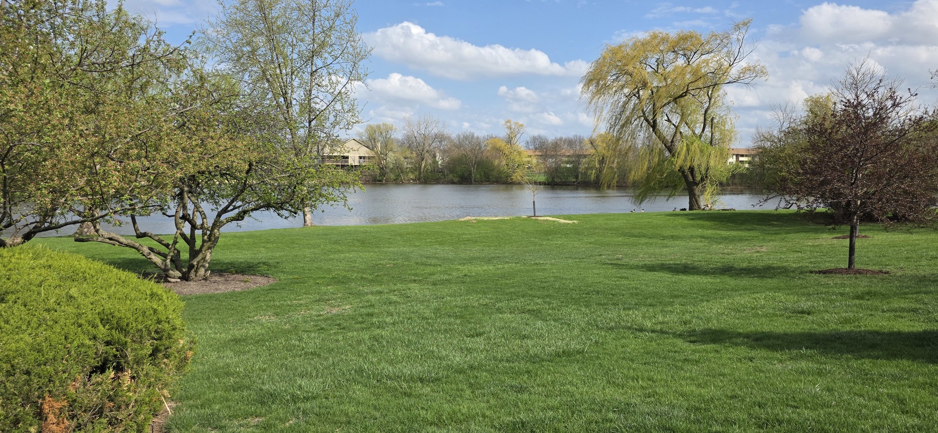 8005 Wildwood Lane, Darien, IL 60561