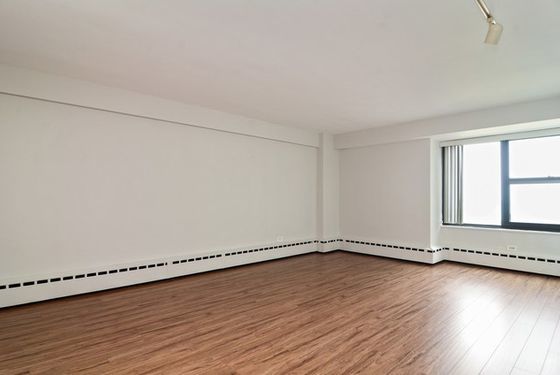 3410 N Lake Shore Drive #12N, Chicago, IL 60657