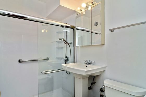 3410 N Lake Shore Drive #12N, Chicago, IL 60657