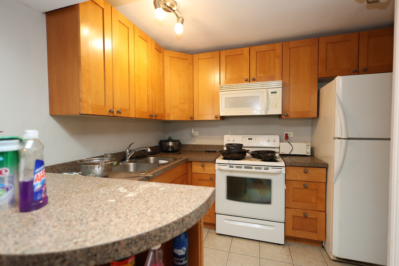 10115 Old Orchard Court #102, Skokie, IL 60076