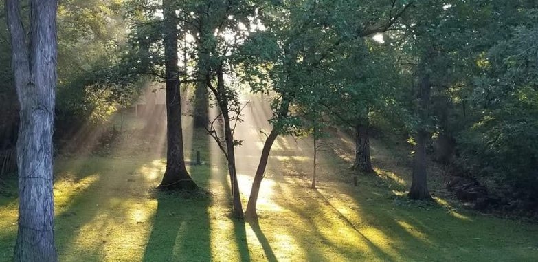 9215 S 83rd Avenue, Hickory Hills, IL 60457