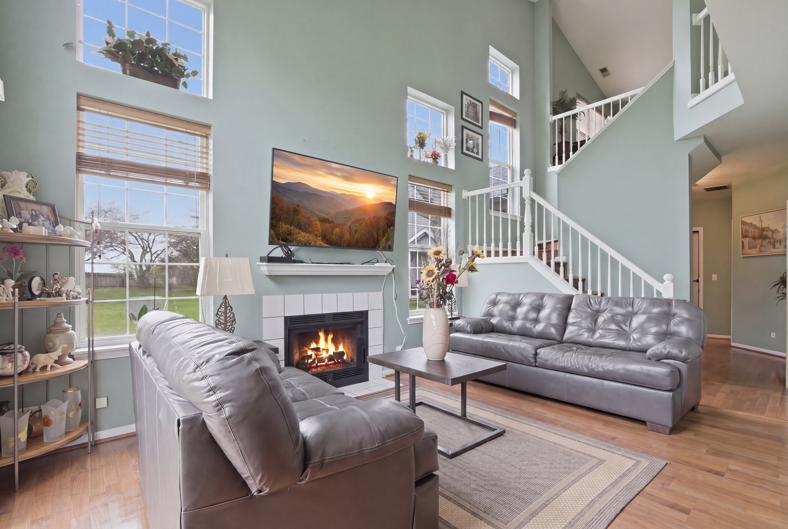 207 Canterbury Court, Oswego, IL 60543