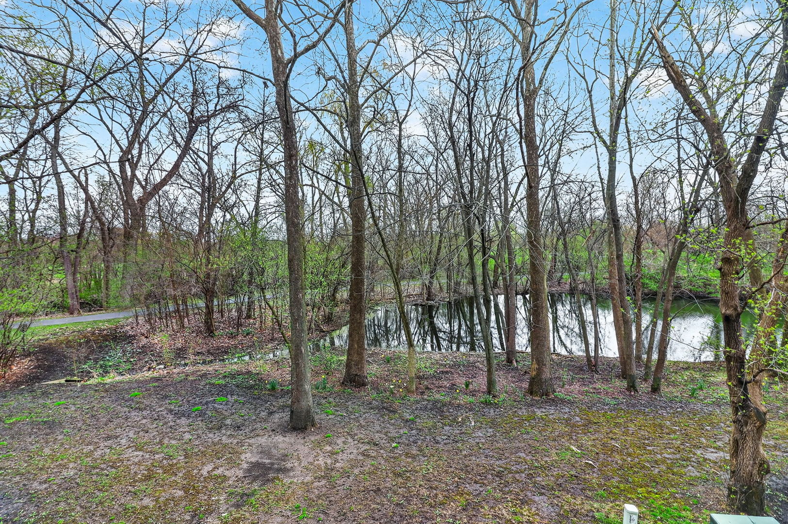 1015 N Auburn Woods Drive, Palatine, IL 60067