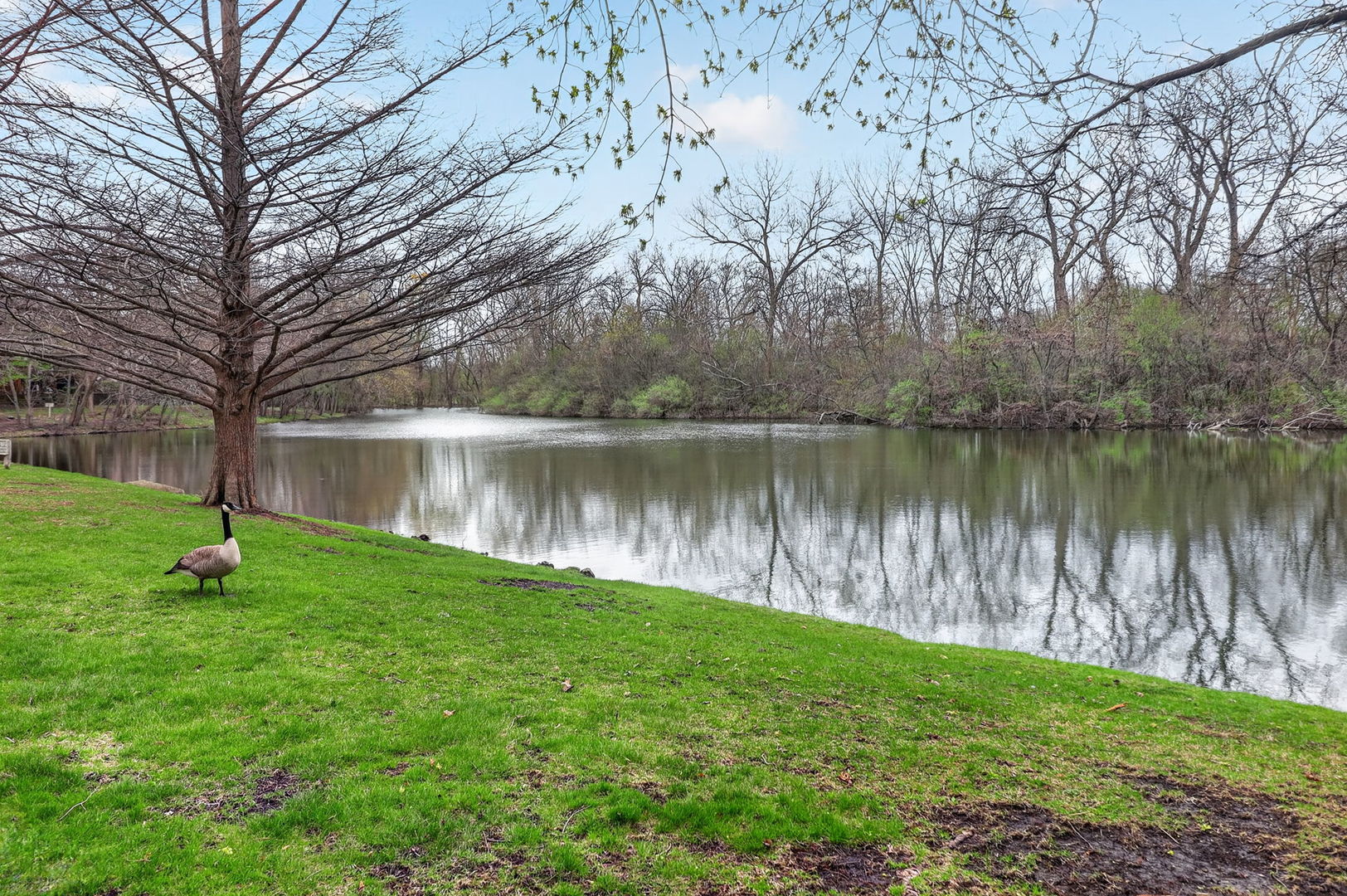 1015 N Auburn Woods Drive, Palatine, IL 60067