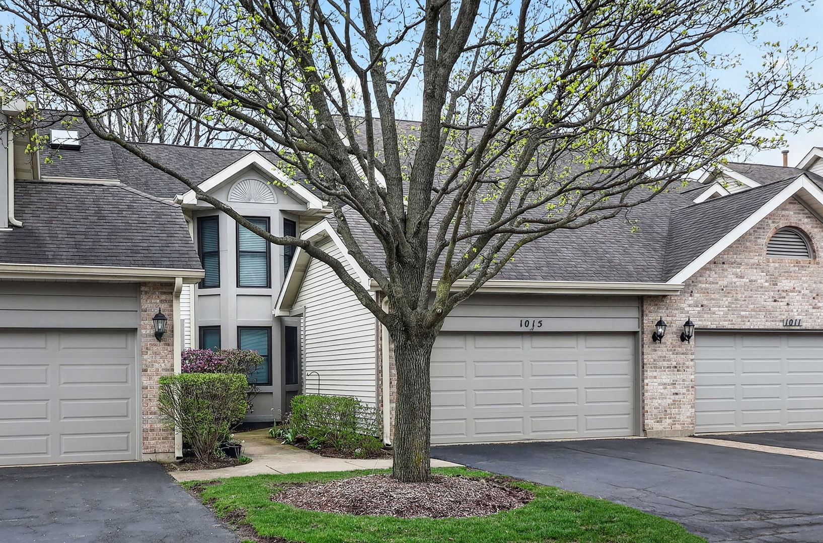 1015 N Auburn Woods Drive, Palatine, IL 60067