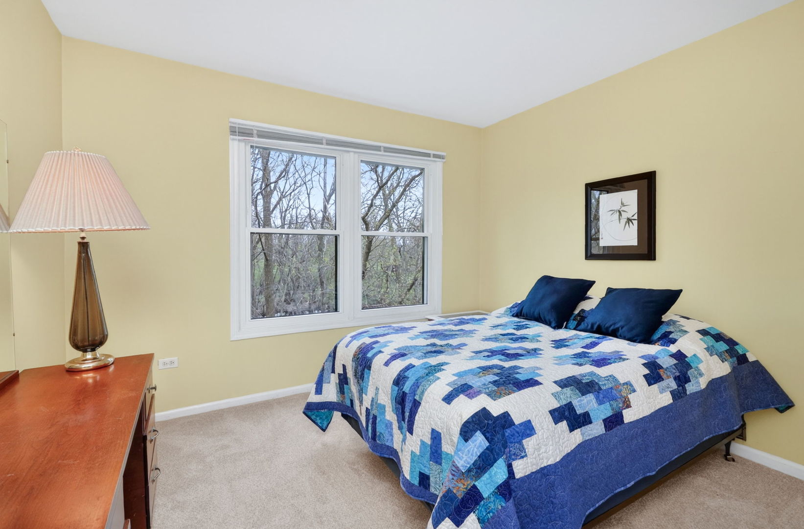 1015 N Auburn Woods Drive, Palatine, IL 60067