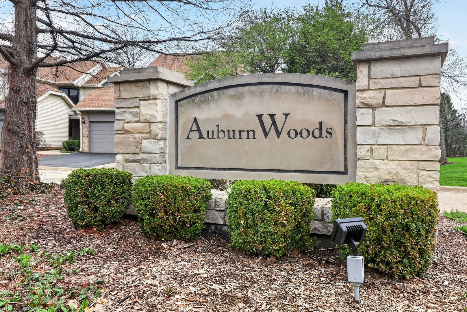 1015 N Auburn Woods Drive, Palatine, IL 60067