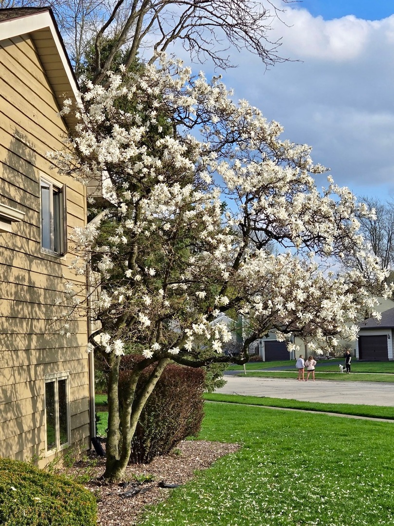 4759 Crest Court, Waukegan, IL 60087