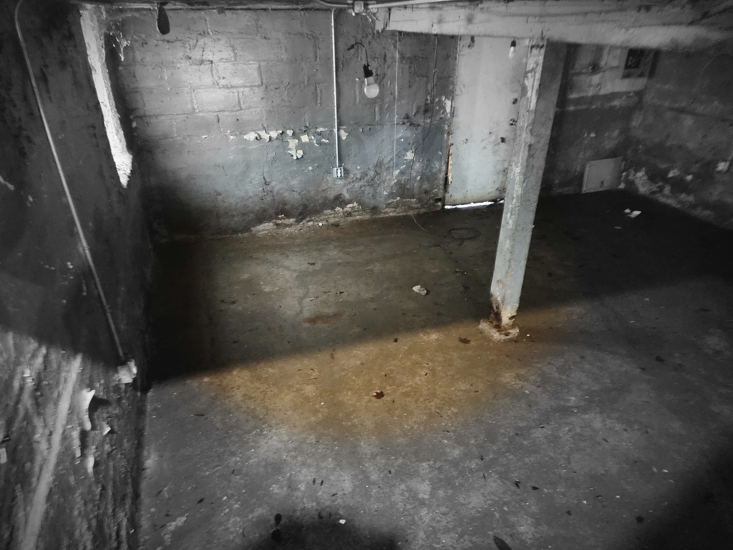 6953 S Elizabeth Street, Chicago, IL 60636