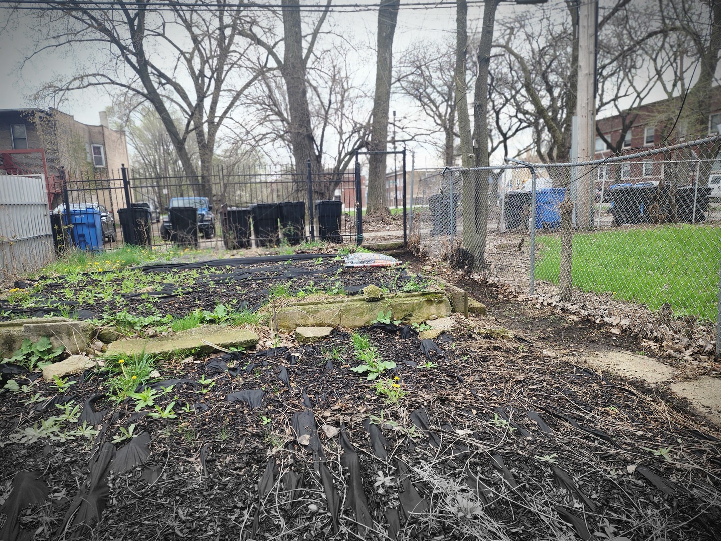 6953 S Elizabeth Street, Chicago, IL 60636