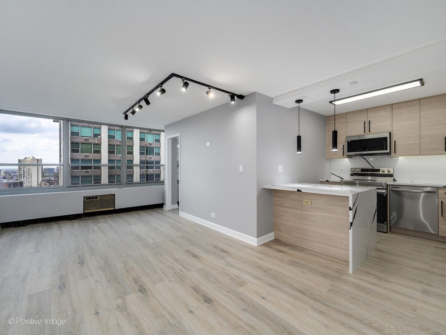 3550 N Lake Shore Drive #2224, Chicago, IL 60657