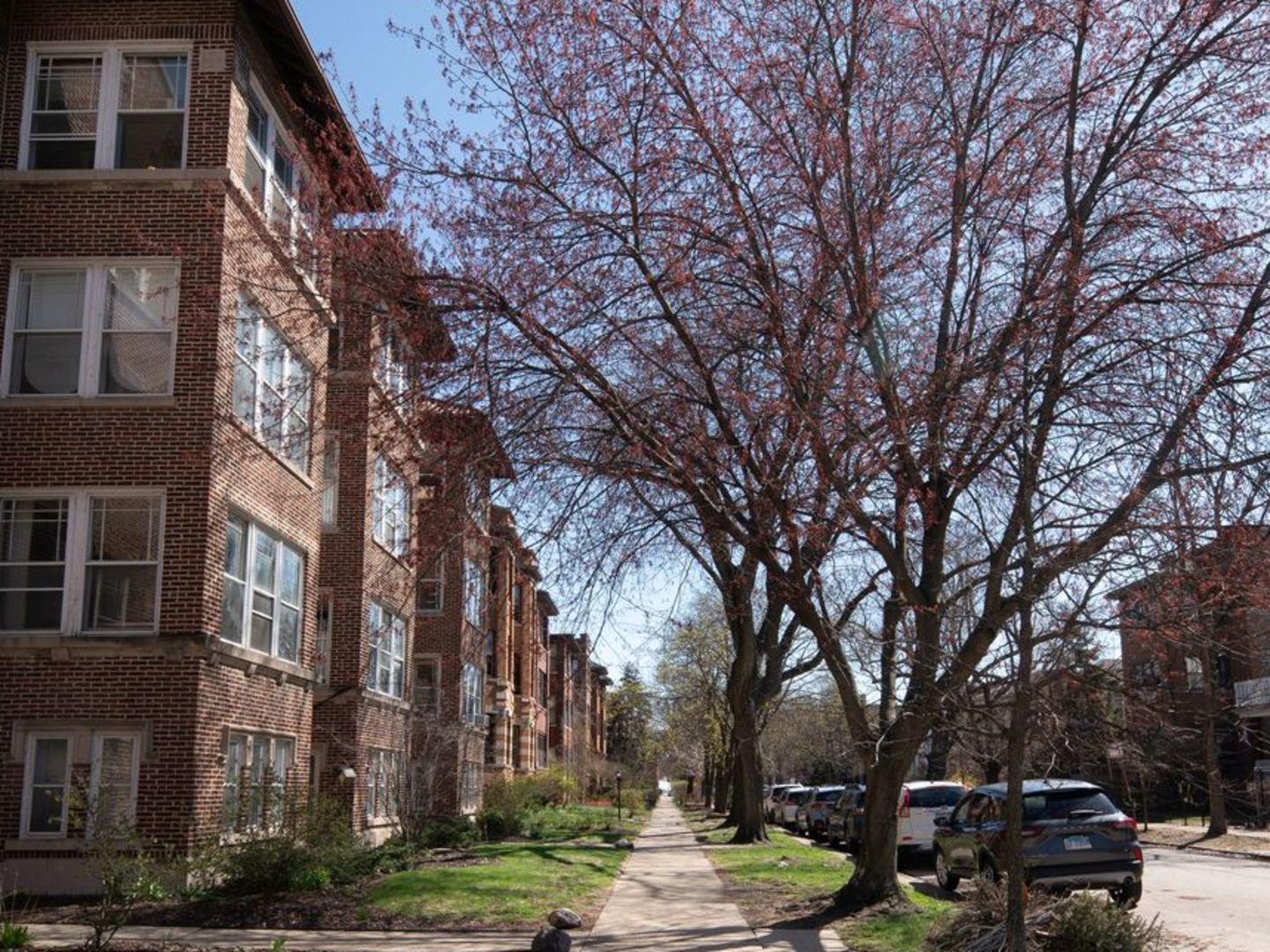 1260 W Columbia Avenue #2, Chicago, IL 60626