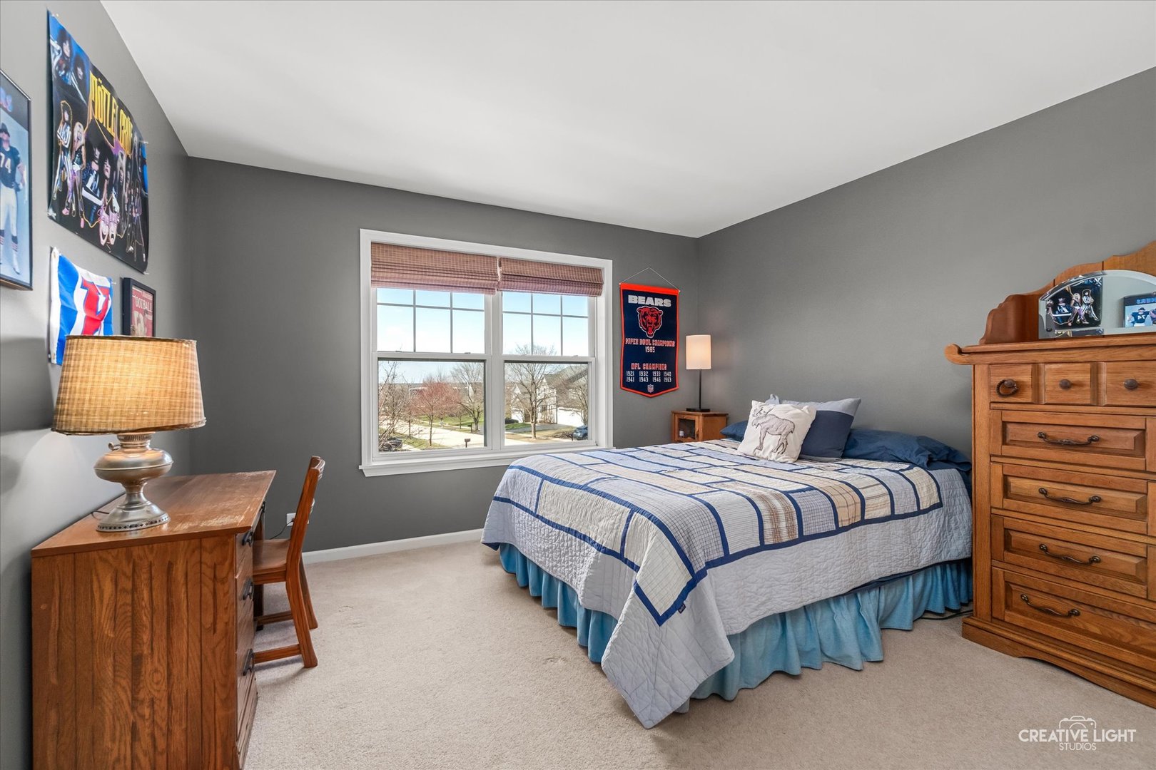 232 Loradale Road, Oswego, IL 60543