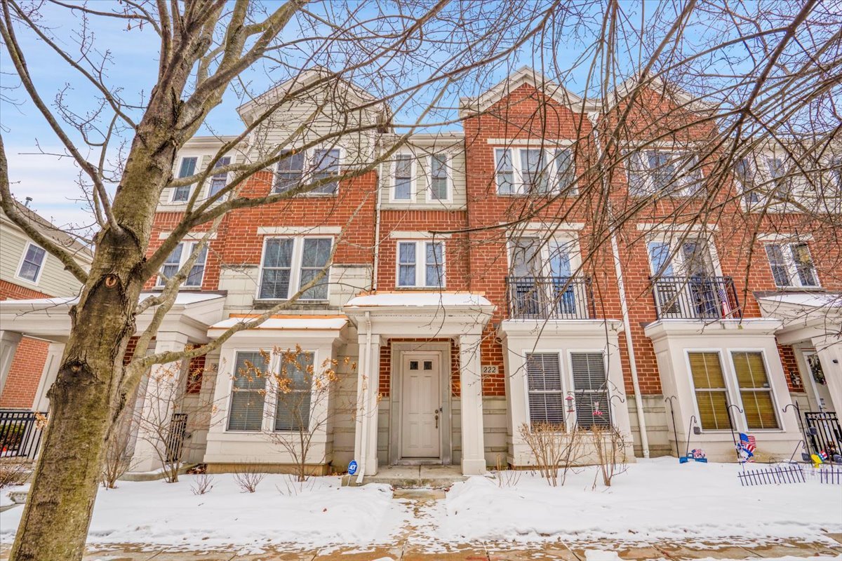 222 W Hyde Street, Arlington Heights, IL 60005