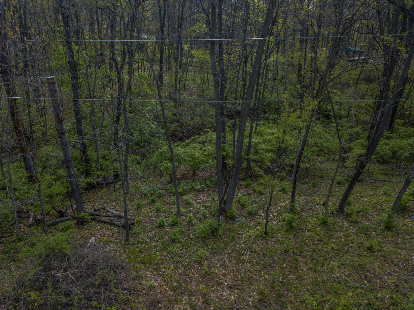 56,57 Summit Drive, Mackinaw, IL 61755