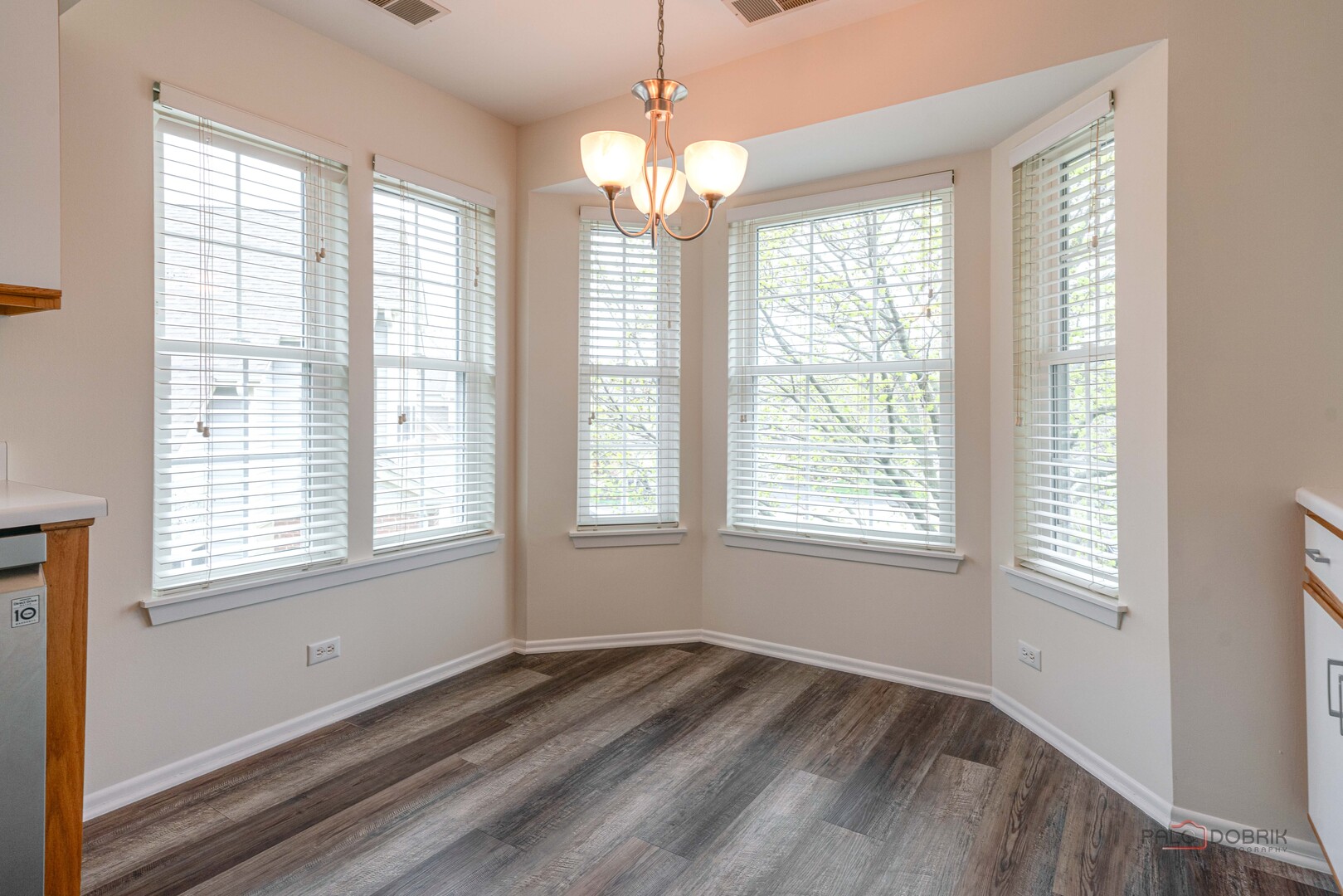 520 Palm Court #B, Crystal Lake, IL 60014