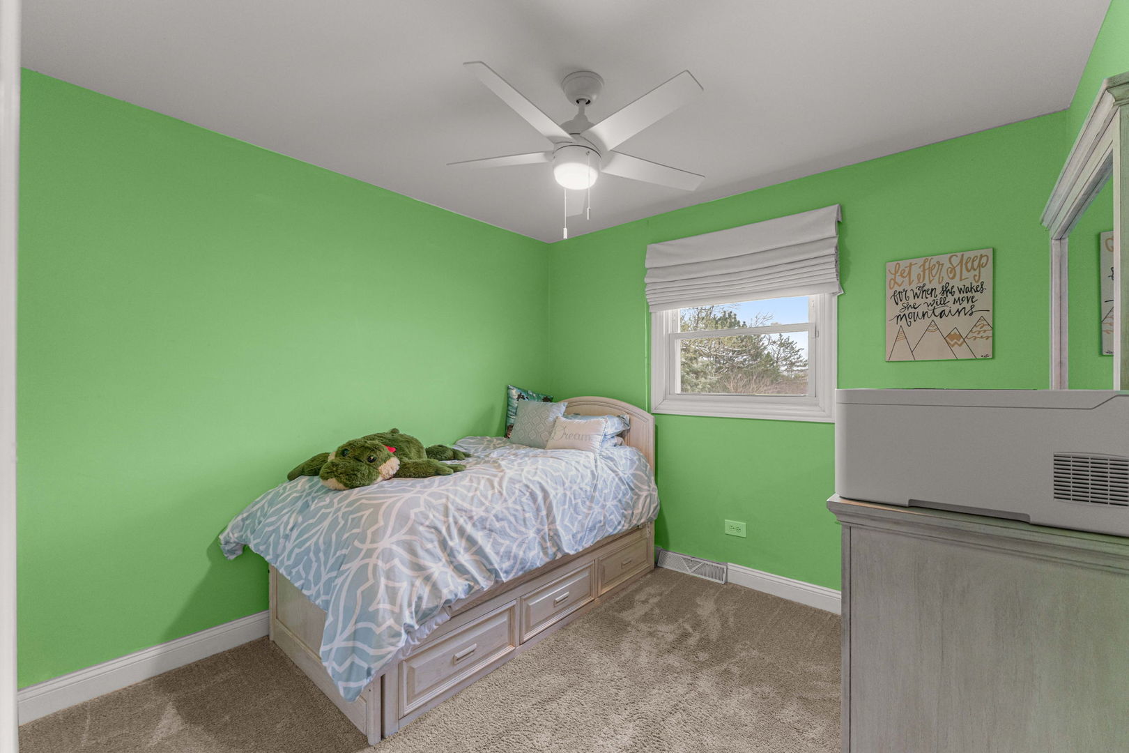 19727 Greenview Avenue, Mokena, IL 60448