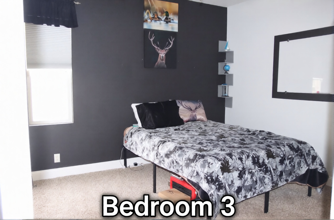 306 S Third Street, Ashkum, IL 60911