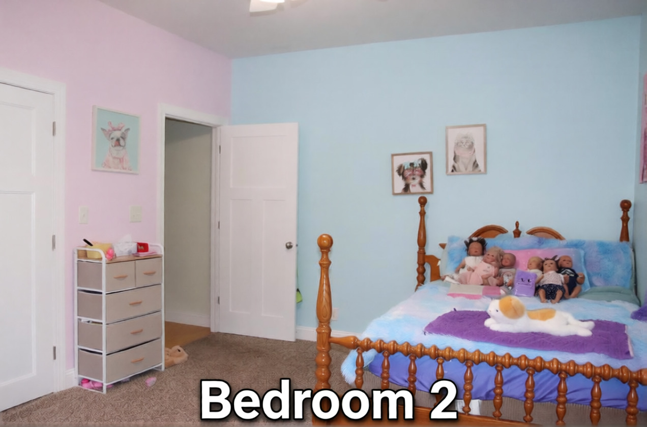 306 S Third Street, Ashkum, IL 60911