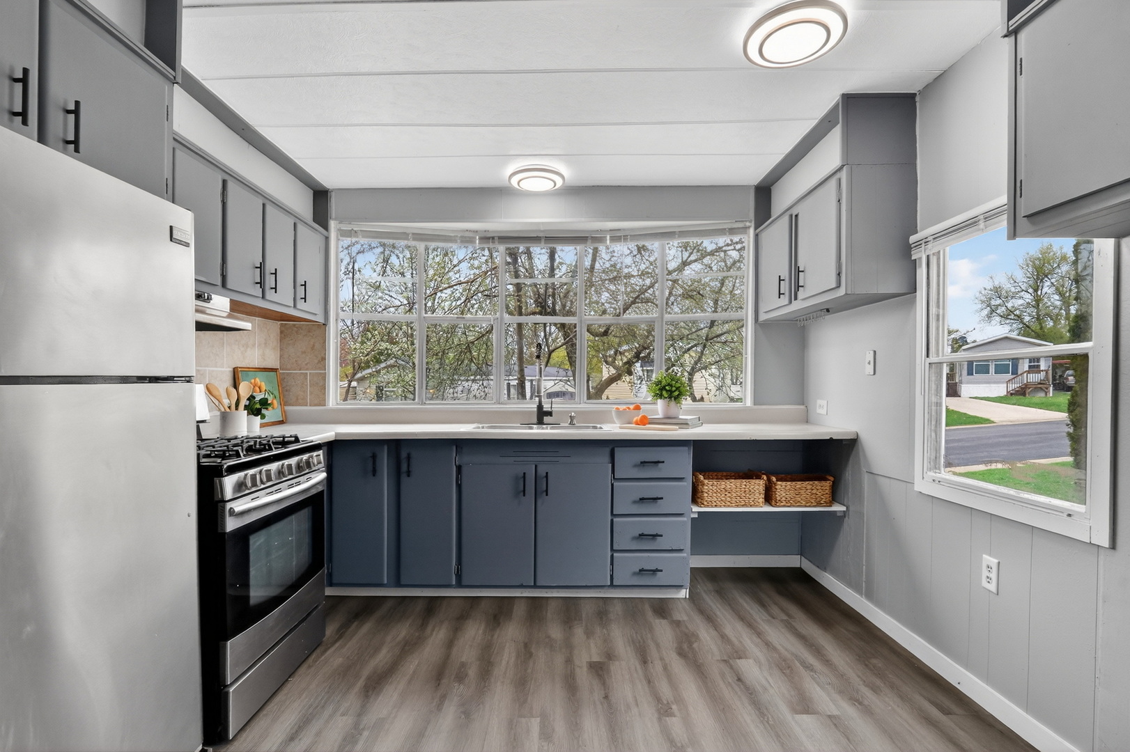 917 Lunga Drive, Round Lake, IL 60073