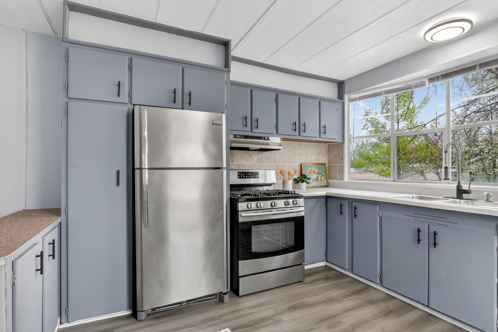 917 Lunga Drive, Round Lake, IL 60073