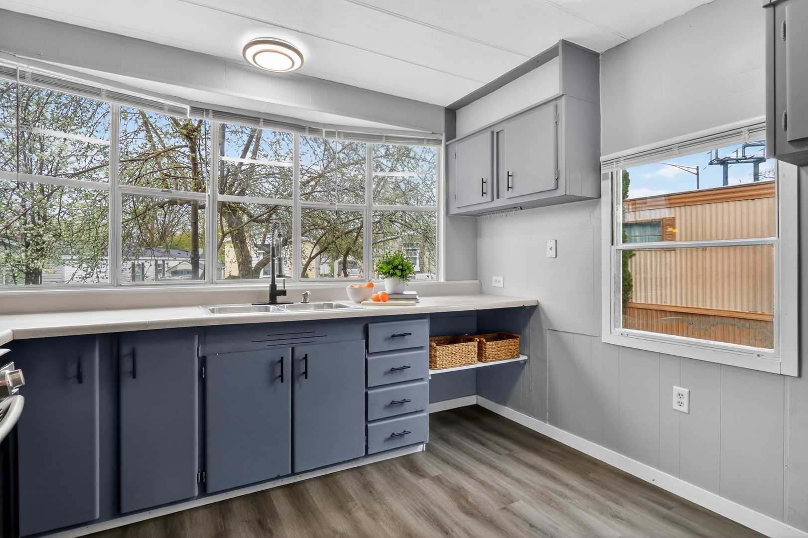 917 Lunga Drive, Round Lake, IL 60073