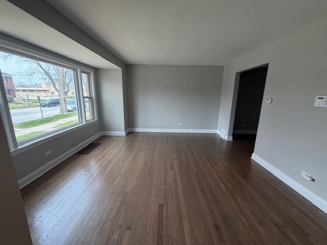 14209 S Tracy Avenue, Riverdale, IL 60827