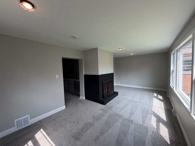 14209 S Tracy Avenue, Riverdale, IL 60827