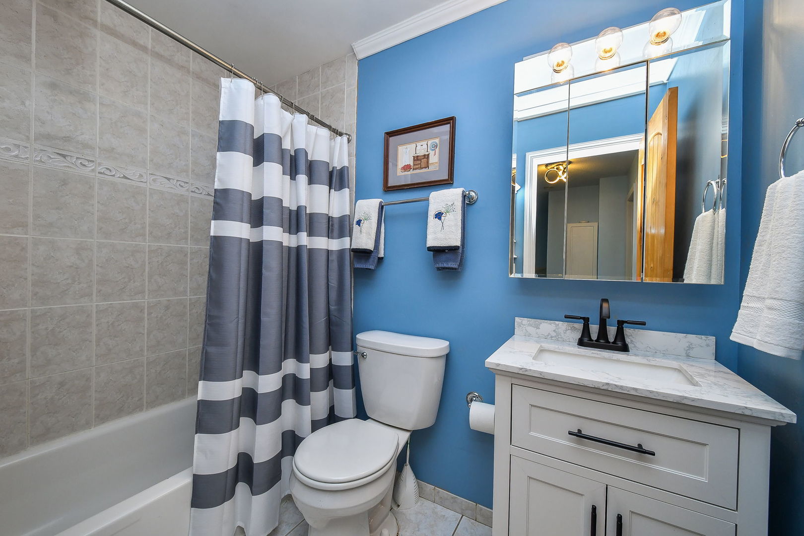 879 Lakeside Drive, Bartlett, IL 60103