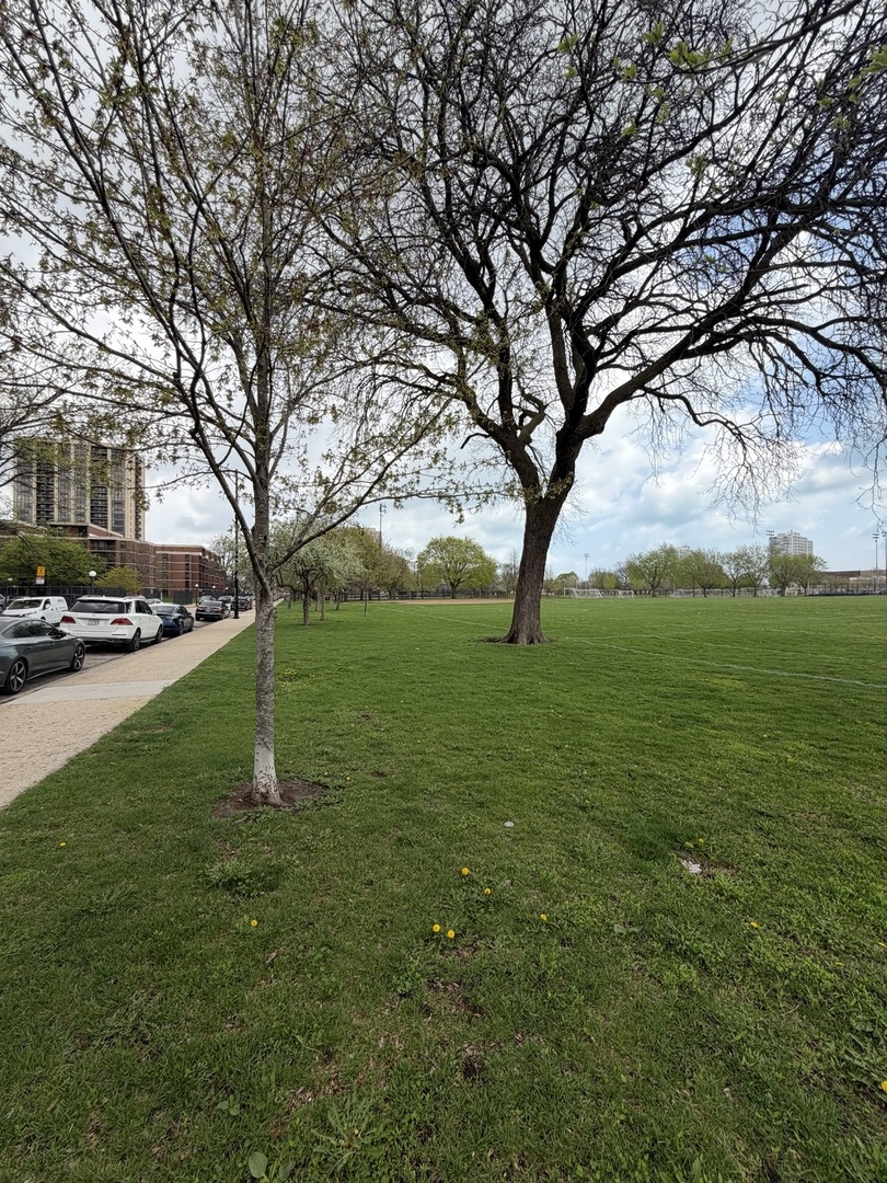 3021 S MICHIGAN Avenue #507, Chicago, IL 60616