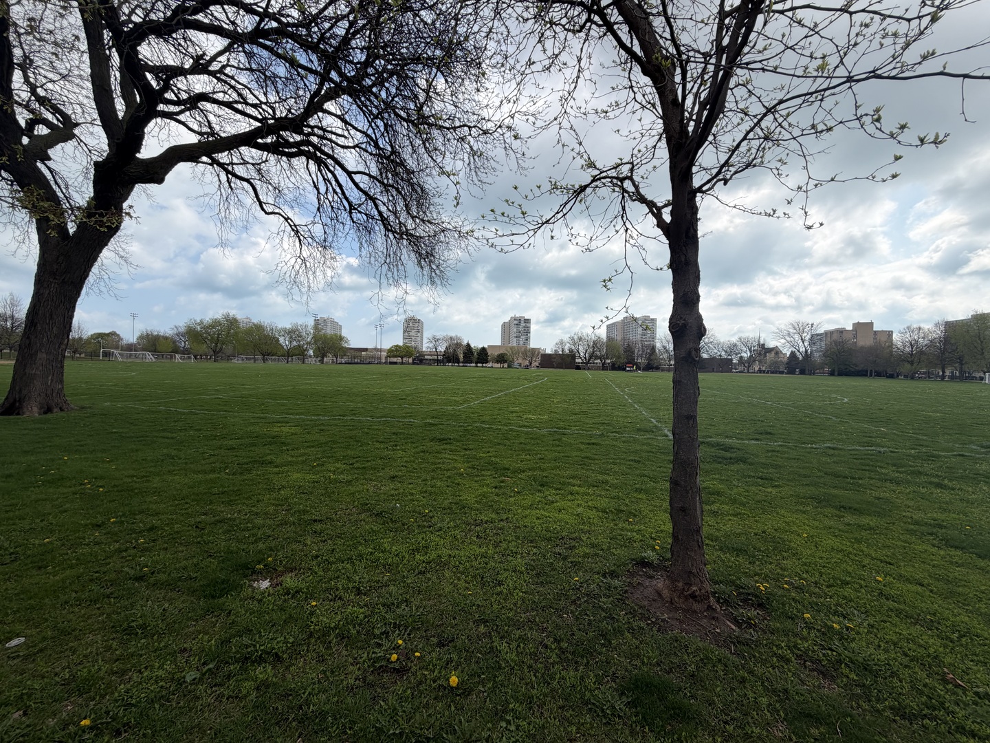 3021 S MICHIGAN Avenue #507, Chicago, IL 60616