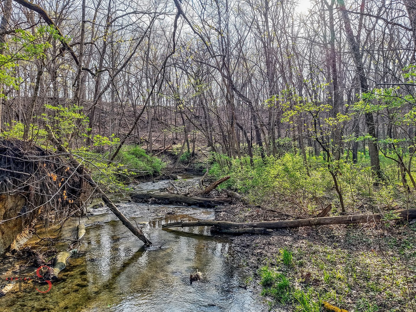 2511 Reynolds Manor Drive #2511, Ottawa, IL 61350