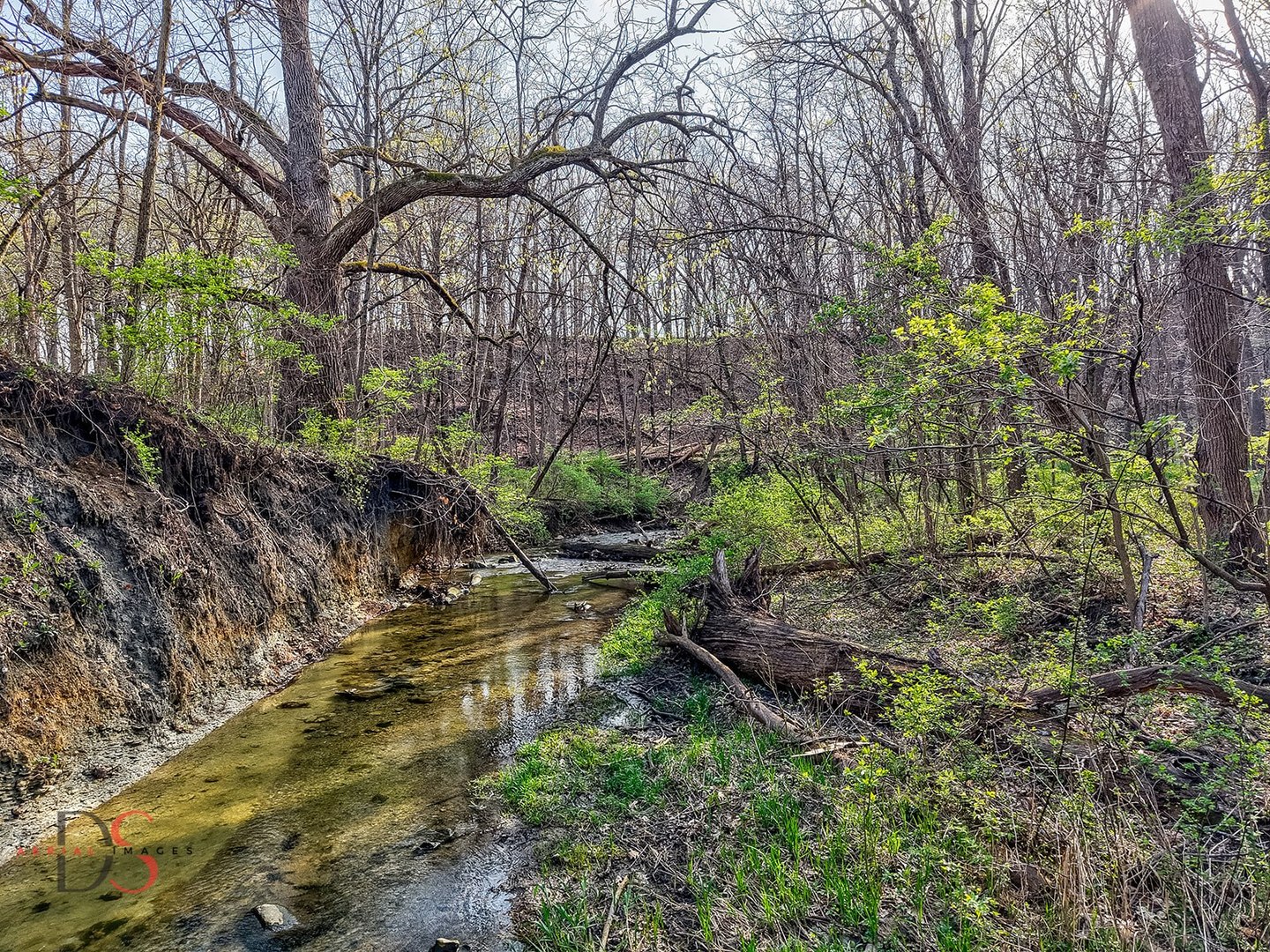 2511 Reynolds Manor Drive #2511, Ottawa, IL 61350