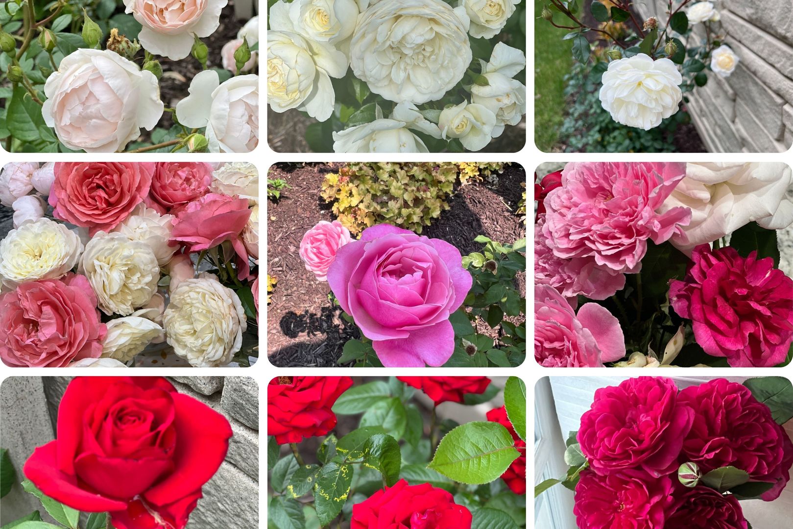 7807 Nagle Avenue, Burbank, IL 60459