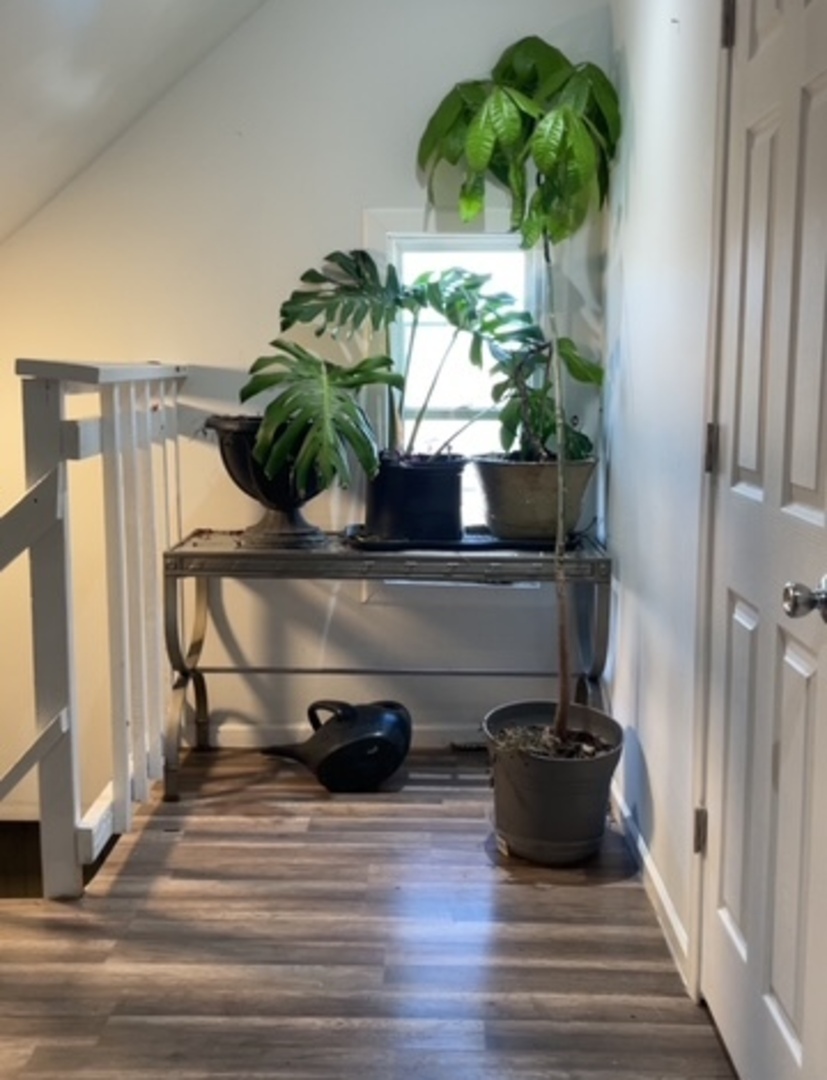 1248 W 49th Place, Chicago, IL 60609