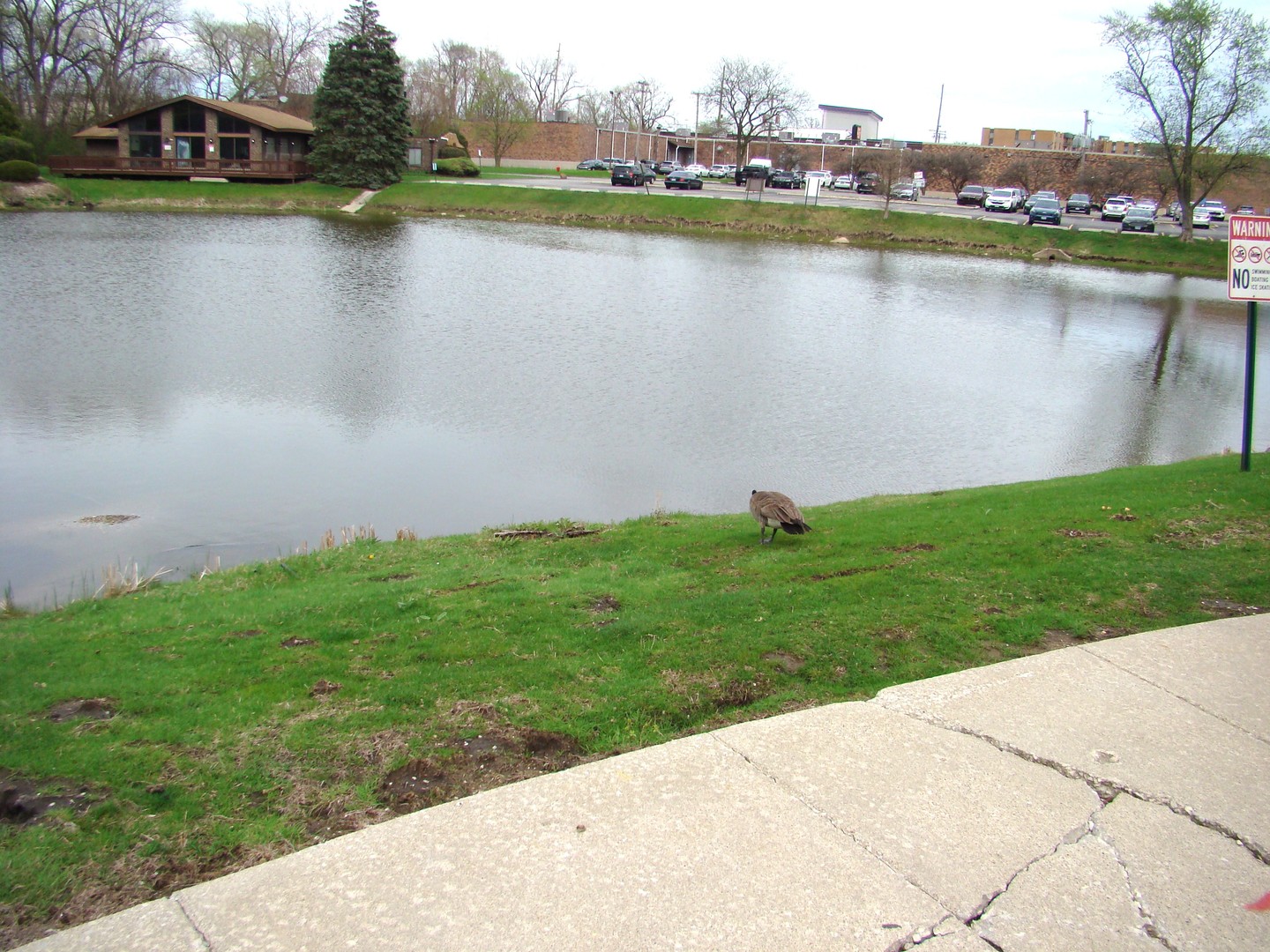 830 Elder Road #B202, Homewood, IL 60430