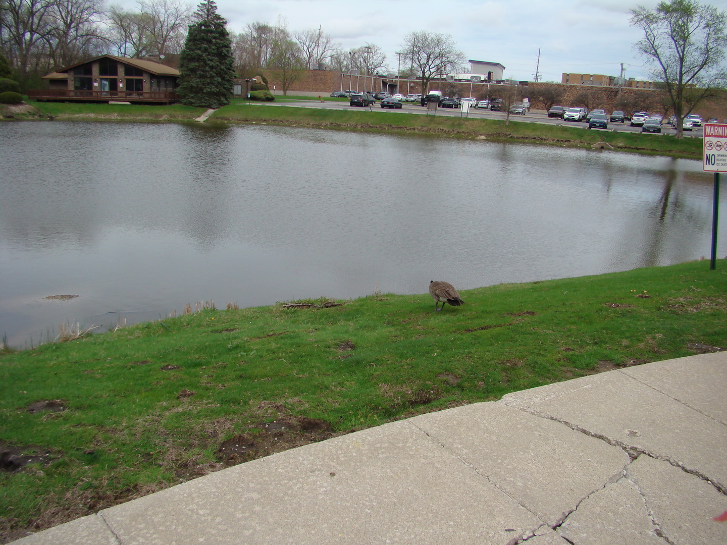 830 Elder Road #B202, Homewood, IL 60430