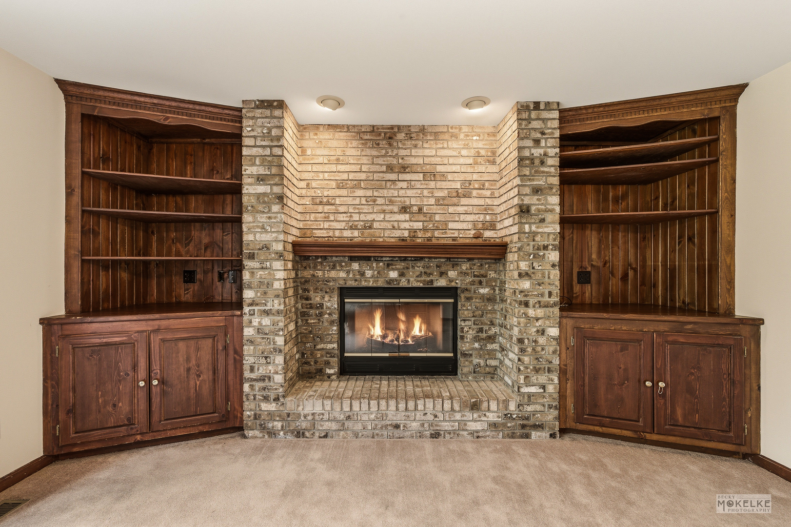 15 Timber View Lane, Yorkville, IL 60560